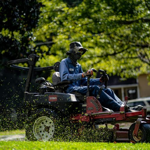 Person on a lawn mower cutting grass in a sunny, green park.